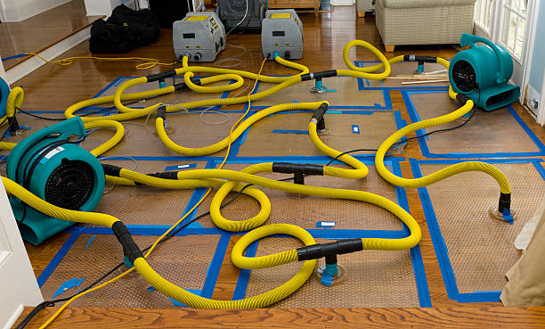 Professional Water Damage Repair technician working in Campbell, TX